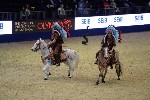 Quadrille - 00262